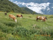  2 luglio 2016 – Muggioresi sul Muggio - FOTOGALLERY